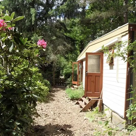 Chaletpark Kempenbos - 73 Chalet