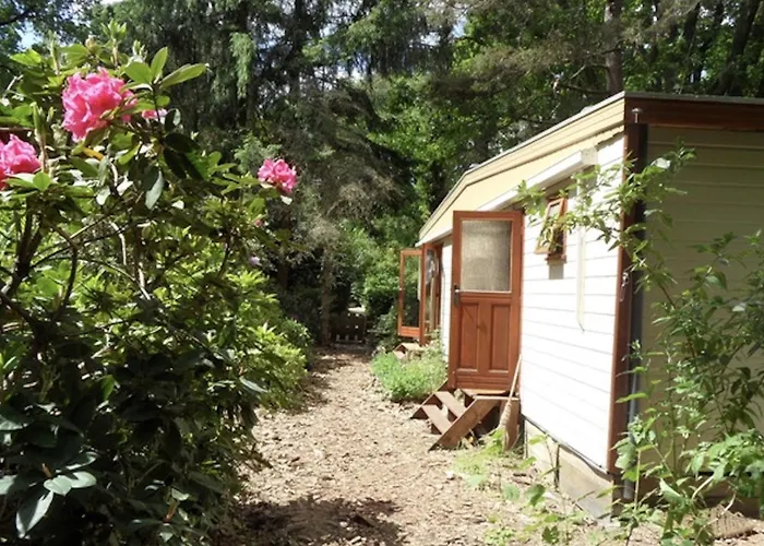 Chaletpark Kempenbos - 73 Chalet