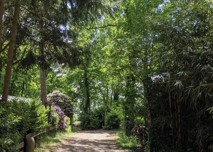 Chalet Chaletpark Kempenbos - 73 Diessen